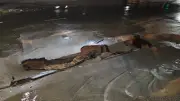 Chuva intensa abre cratera em cruzamento de Indaiatuba