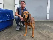 Cão abandonado há meses sem água e comida é resgatado na Zona Norte do Rio