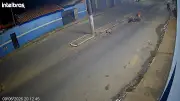 Cão é atropelado por motociclista em Capão Bonito; vídeo mostra momento