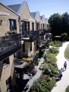 Cohousing: a solução colaborativa contra a solidão na terceira idade