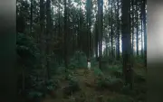 Comercial de Itararé é finalista em Cannes e vence na Polônia