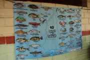 Concurso de pintura e HQ sobre peixes do Tapajós abre inscrições