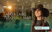 Cooperativismo financeiro cresce no Brasil e Sicoob Credivale se destaca