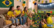 Copa de 2026: Como proteger cães e gatos durante os jogos