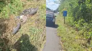Corpo em decomposição é encontrado às margens da BR-343 no Piauí