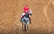Corridas de cavalo suspensas no Jóquei Clube de Goiás pelo Mapa