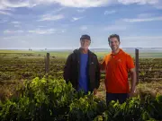 Cresol Lança Safra Antecipada Para Produtores Rurais