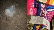 Crianças são levadas à delegacia após morte de gato com explosivo em Assaré