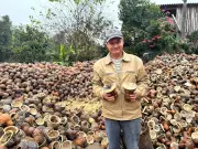Cultivo de porongo garante renda a famílias no norte gaúcho