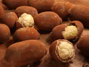 Cupuaçu: benefícios e receitas deliciosas para sua saúde