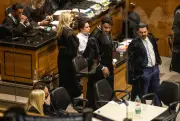 Defesa de Jairinho questiona laudos e cita mensagem de perita a Leniel