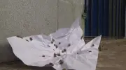 Desabrigados em Goiana enfrentam infestação de carrapatos em escola