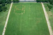 Desenho '8647' no gramado do National Mall é investigado nos EUA