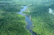 Desmatamento no Amazonas cai 57% nos primeiros cinco meses de 2026