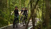 Destino Iguaçu: roteiro estratégico para agências de viagem