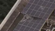 Destroços de helicópteros caem no Recreio e se espalham por 100 metros