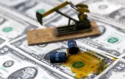 Dólar abre em queda com trégua EUA-Irã; Focus mantém projeções