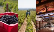 Domaine Lapierre traz vinhos naturais ao Brasil