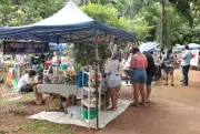 Domingo em MS: feiras, festas e shows em Campo Grande e interior