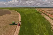 El Niño: Brasil tem menor cobertura de seguro rural em 20 anos