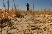 El Niño em 2026 pode causar perdas de US$ 84 trilhões na economia global