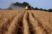 El Niño Godzilla 2026-27: Brasil é mercado-chave para risco macro, diz Itaú BBA