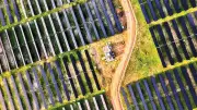 El Niño impulsiona renováveis, mas não resolve desperdício elétrico