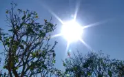 El Niño vai elevar temperaturas no Piauí, alerta Defesa Civil