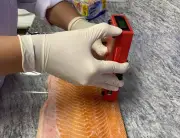 Embrapa produz carne em laboratório sem sacrificar animais