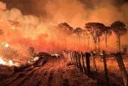 Emergência ambiental no MS por 180 dias devido a risco de incêndios