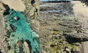 Emergência reconhecida em Salvador após contaminação química na praia de São Tomé de Paripe