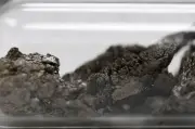 Eminence Minerals contrata perfuração para terras raras na Bahia