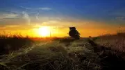 Engenharia aplicada ao campo redefine desempenho de máquinas agrícolas