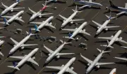 Estudo com DNA identifica 32 espécies inéditas em colisões com aeronaves no Brasil