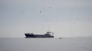 EUA: 72 navios cruzam Ormuz em 24h; Irã não pode bloquear via
