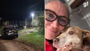 Ex-secretária e veterinários presos por eutanásias ilegais em Canoas