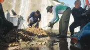 Expedição remove redes fantasmas que ameaçam vida marinha nas Ilhas Cagarras