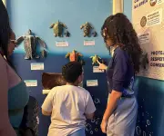 Exposição gratuita sobre tartarugas marinhas no Midway Mall em Natal