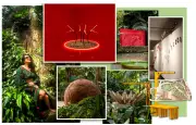 Exposição 'Quando o Museu É Rio' une ciência e arte amazônica em SP