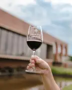 Expovitis Brasil 2026: maior feira de vinhos nacionais começa em Brasília