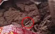 Fabricante condenada após criança encontrar larvas em biscoitos em Araçatuba
