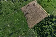 Fachin determina plano de desintrusão da Terra Indígena Cachoeira Seca no Pará