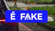 É #FAKE: vídeo de gato 'traído' abandonando caça foi gerado por IA