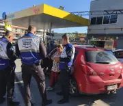 Falsa veterinária presa em Niterói por castrações clandestinas