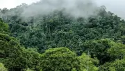 Famílias tradicionais no AC podem receber até R$ 8 mil para preservar floresta