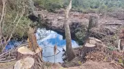 Fazendeiro é multado em R$ 260 mil por desmatar 12,9 hectares no Paraná