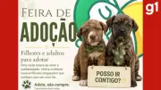 Feira de adoção oferece 23 animais resgatados em Cuiabá neste sábado