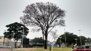 Feriado de Corpus Christi terá frio no Sul, Sudeste e Centro-Oeste