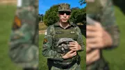 Filhote de tamanduá-bandeira resgatado em MG após esperar mãe por 3 dias