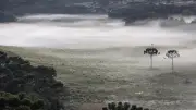 Frente fria mantém chuva no Sudeste e geada no Sul; veja previsão